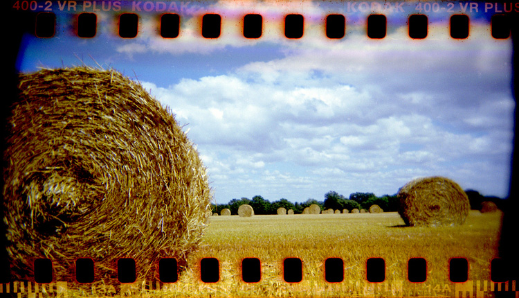 Promenade avec Holga en Mayenne