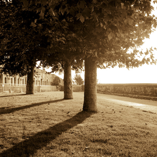 Ambiance d'un lev de soleil