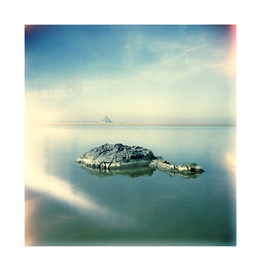 Tortue kodak