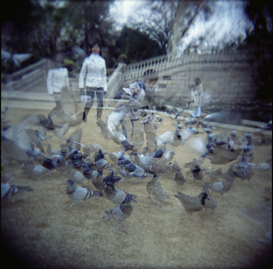 Pti' zizou et les pigeons