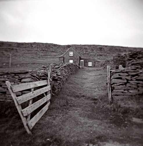 [Holga]La ferme