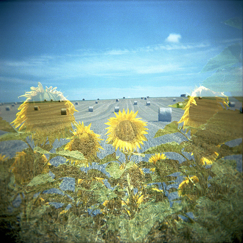 Deux Van Gogh pour le prix d'un