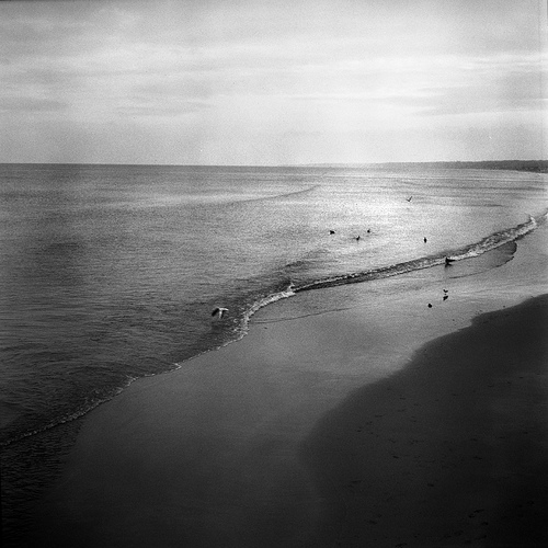 Omaha beach