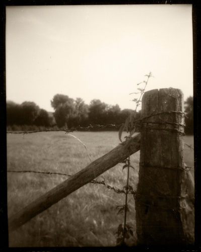 ballade dans l'yonne