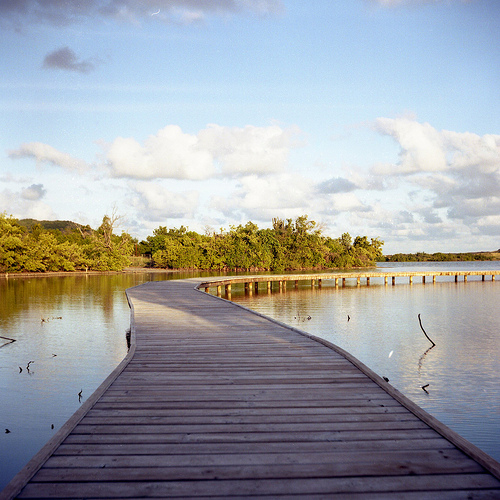 The road the water