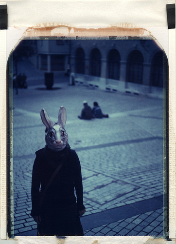 lapin