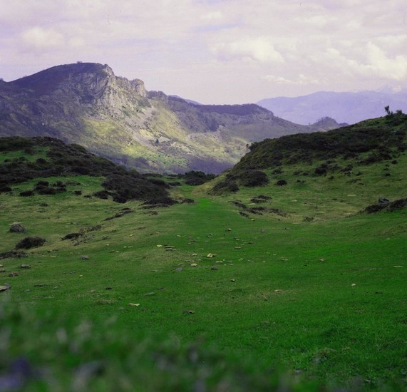 pyreneus isoletum