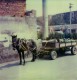 Beijing, CN (prs de Chaoyang Park)
24 aot 2006

Polarod SX-70 (exp 12/2003)