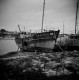 Photo prise  l'Holga - HP5+ 
Cimetire d'anciens langoutiers  Camaret.