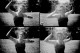 Sampler
Ilford HP5+
(scan d'un ngatif)