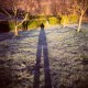 Holga + fujicolor 400iso + le matin au lever du soleil
