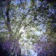 Holga & 160VC