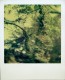 Land Camera 2000 & Artistic TZ