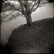 Holga / HP5 / rodinal / normandie / temps gris